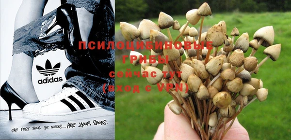мет Белокуриха